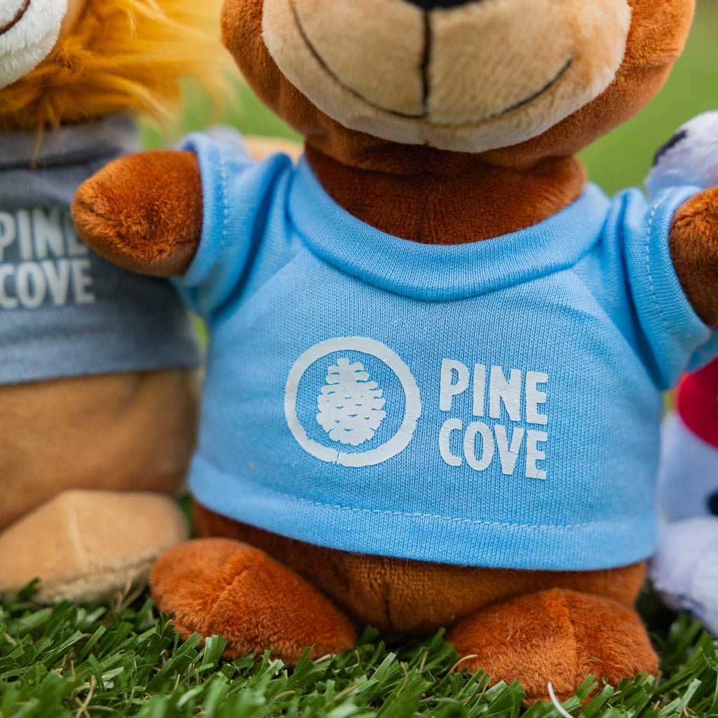 Bean Bag Animals - Pine Cove Web Store