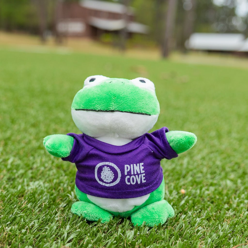 Bean Bag Animals - Pine Cove Web Store