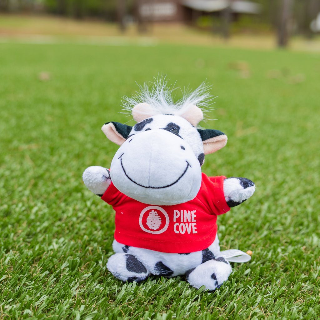 Bean Bag Animals - Pine Cove Web Store