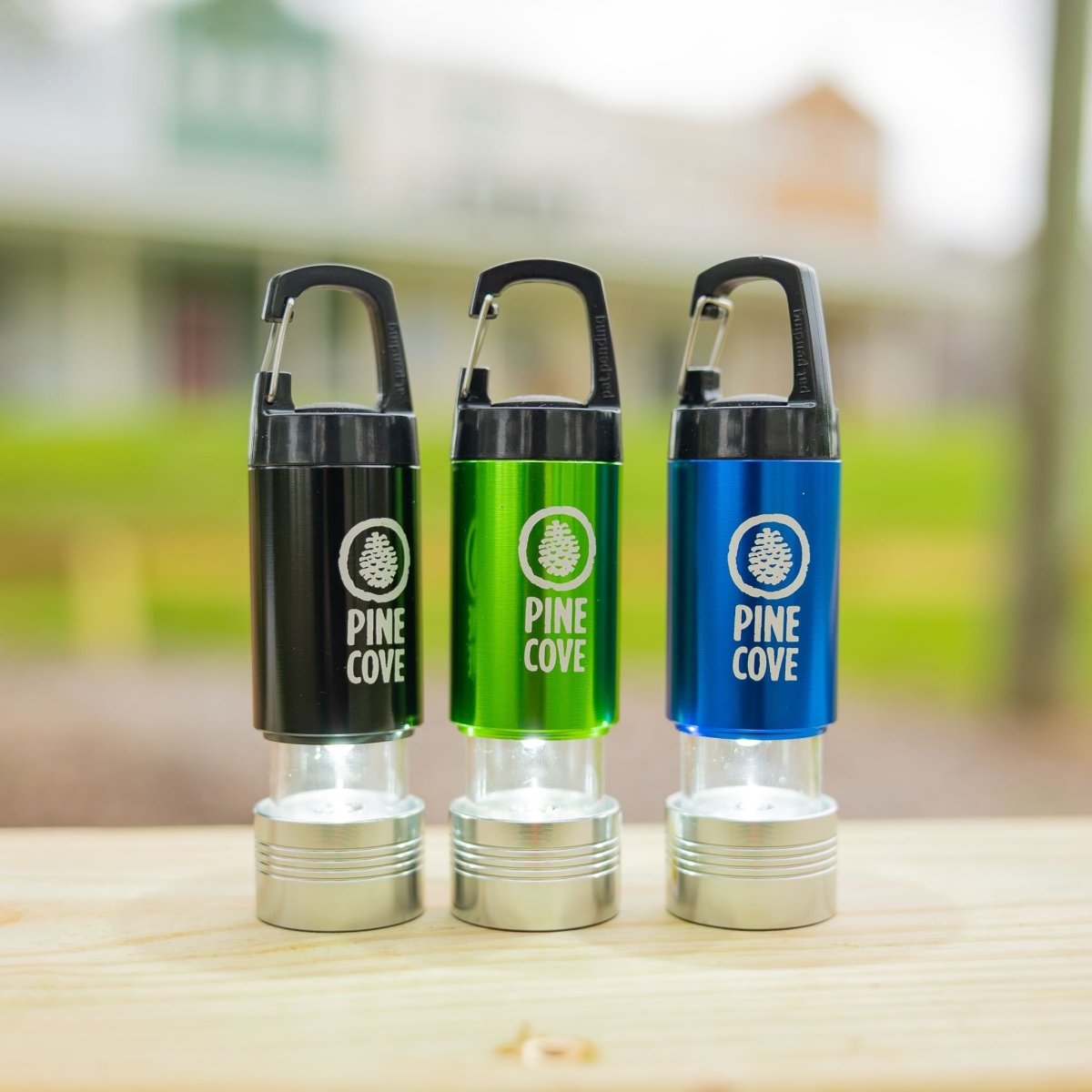 Carabiner Flashlight - Pine Cove Web Store