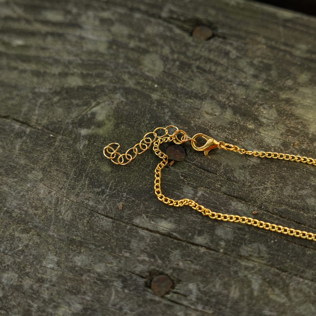 Gold Tag Necklace - Pine Cove Web Store