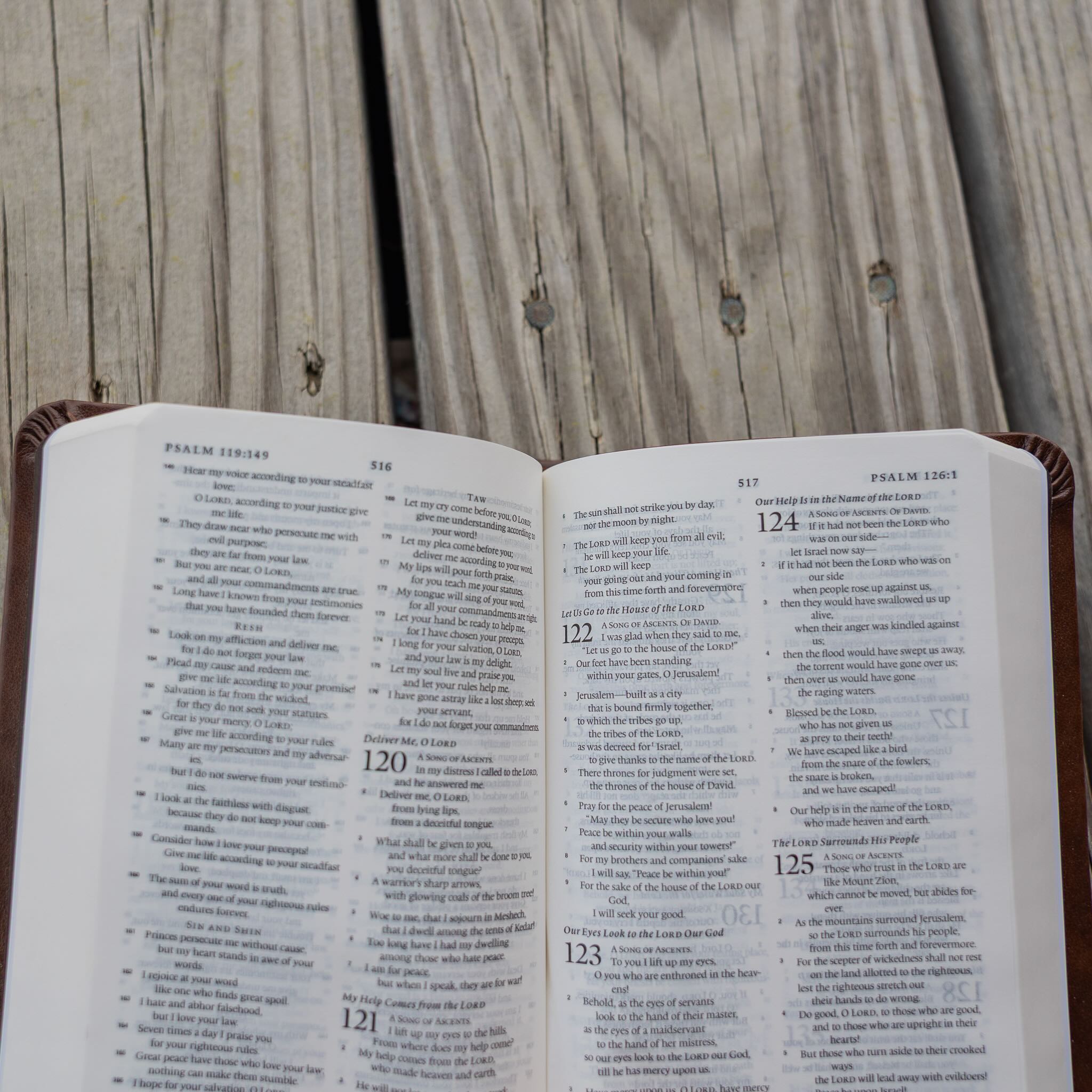 Leather Bible