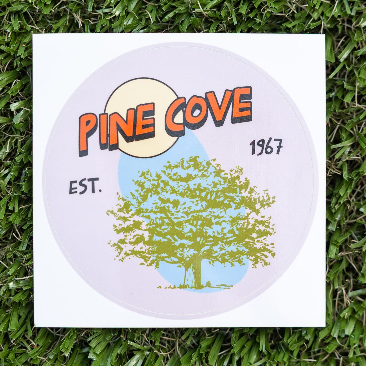 Live Oak Sticker - Pine Cove Web Store