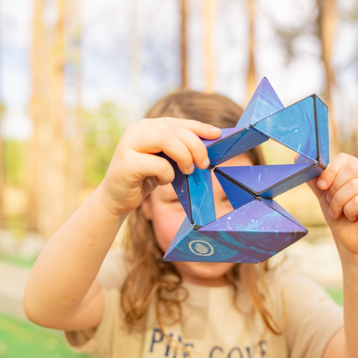 Magnetic Cube - Pine Cove Web Store