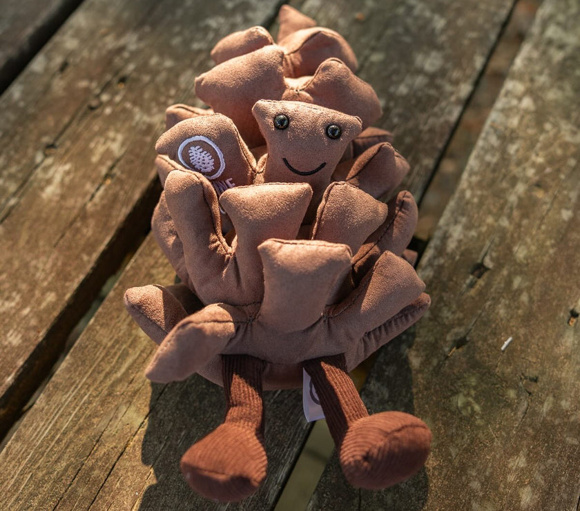 Pillow - Pine Cove Web Store