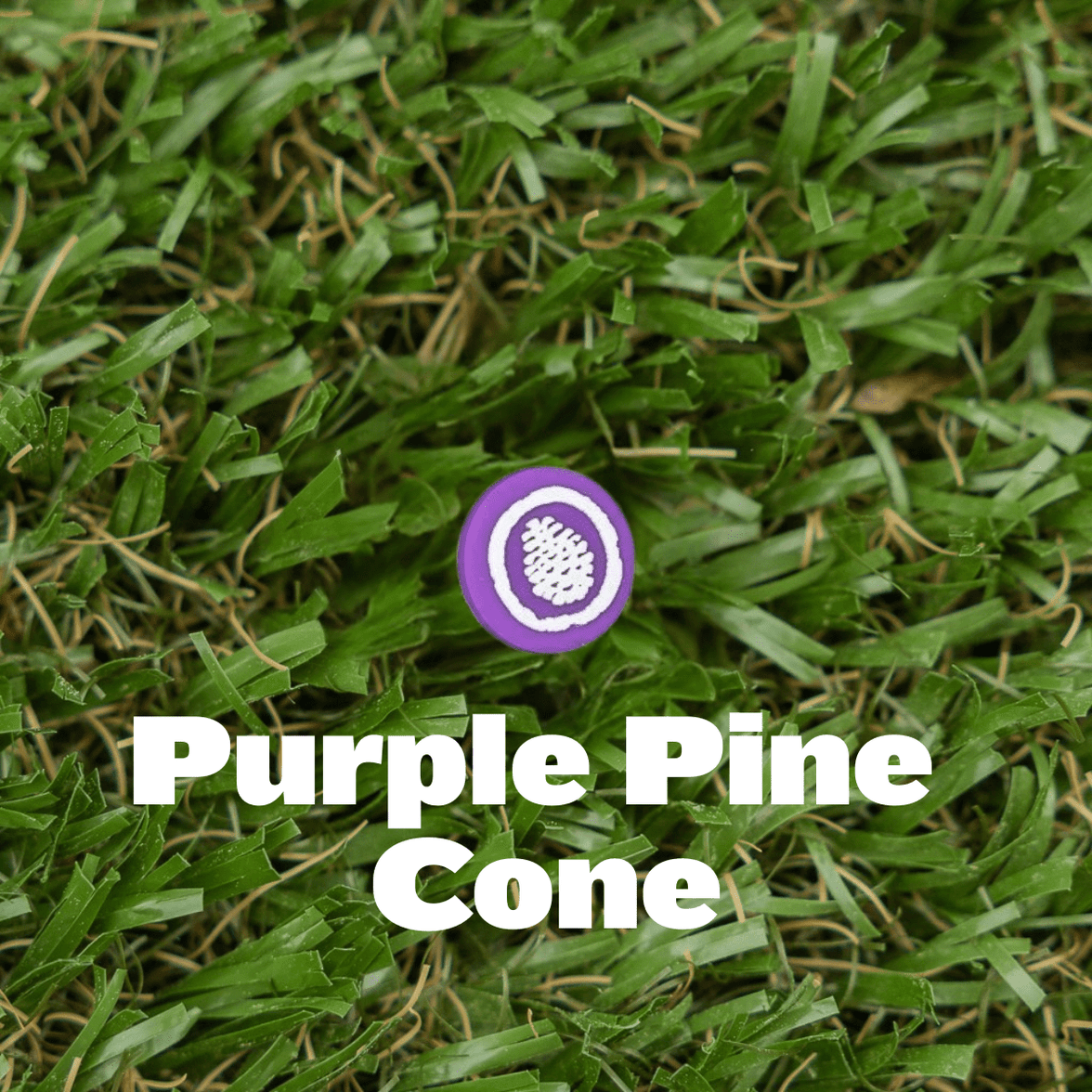 Shoe Charm - Pine Cove - Pine Cove Web Store