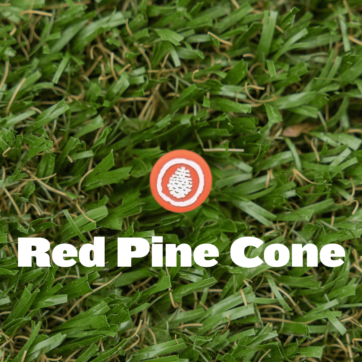 Shoe Charm - Pine Cove - Pine Cove Web Store