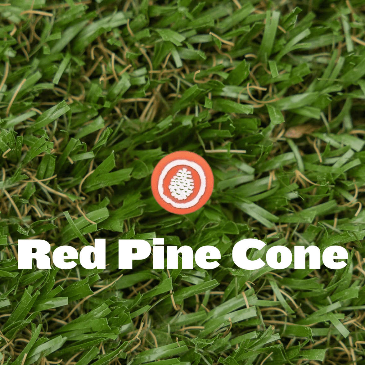 Shoe Charm - Pine Cove - Pine Cove Web Store