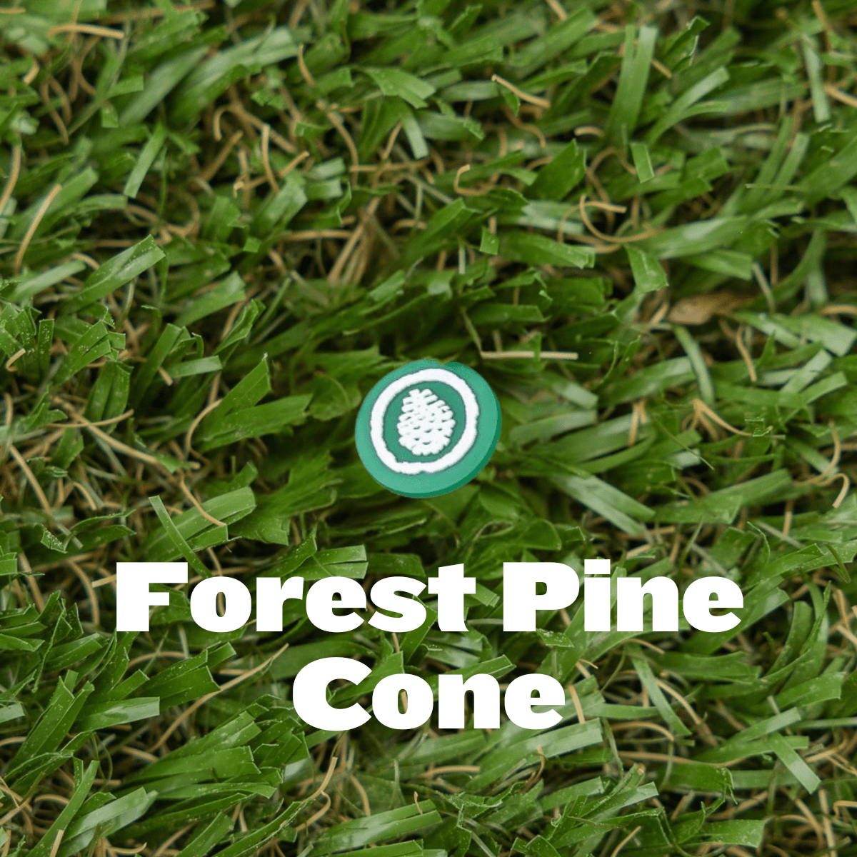 Shoe Charm - Pine Cove - Pine Cove Web Store