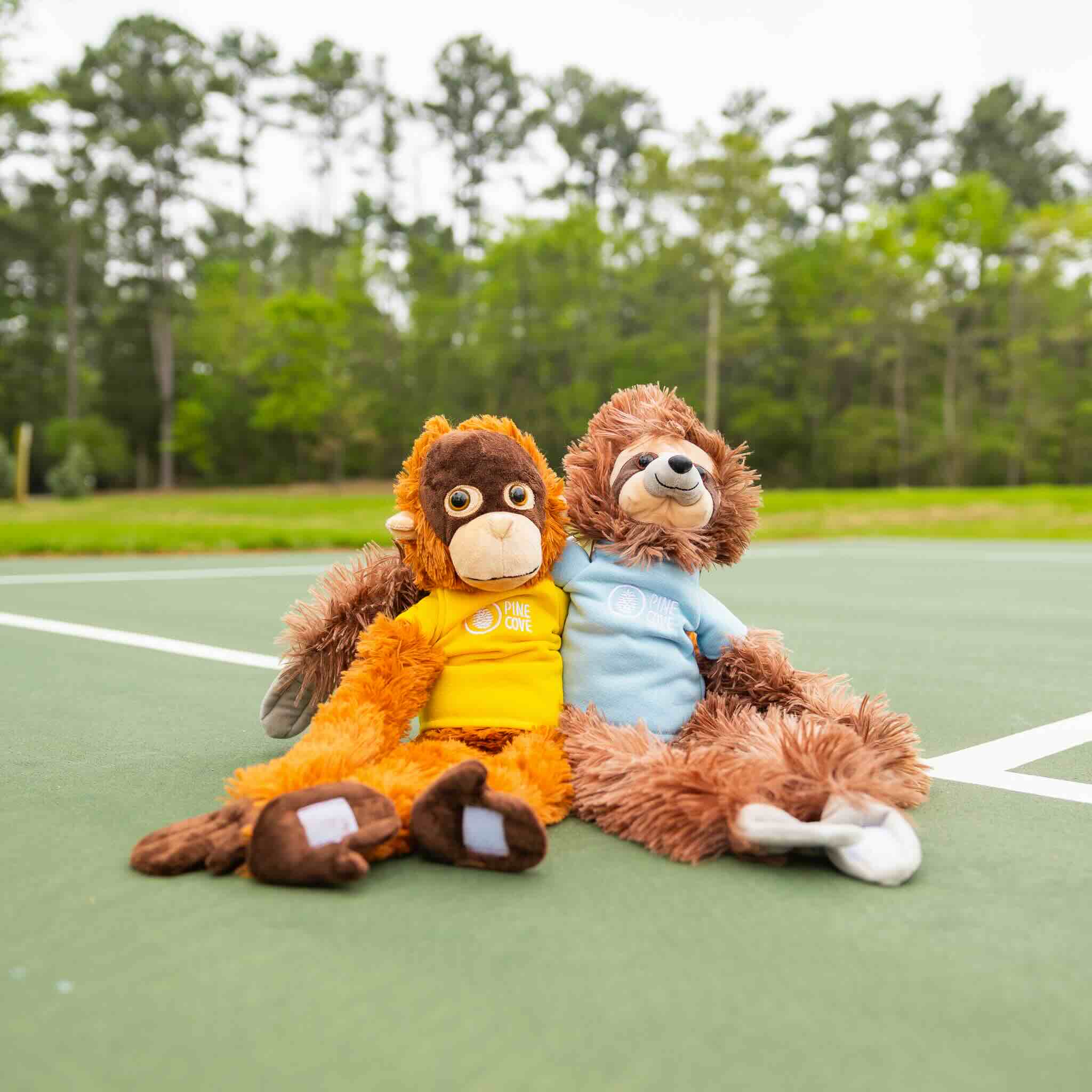 Monkey - Pine Cove Web Store