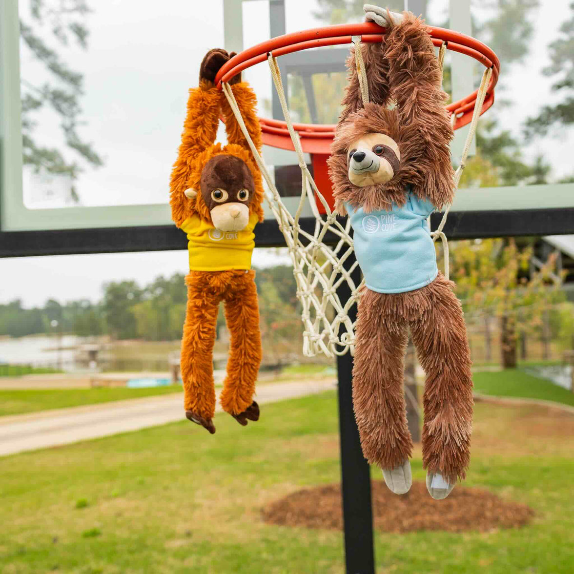 Monkey - Pine Cove Web Store