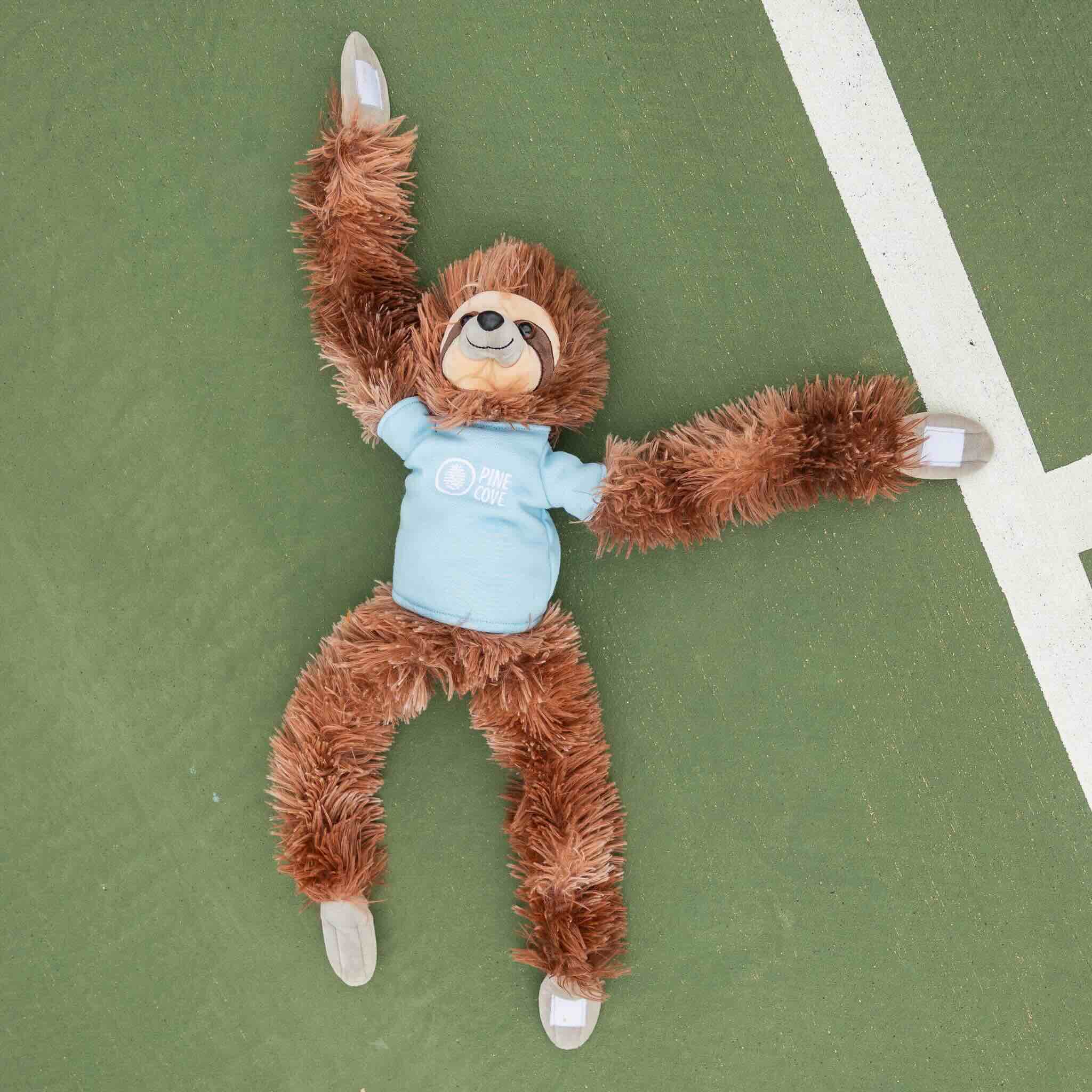 Sloth - Pine Cove Web Store