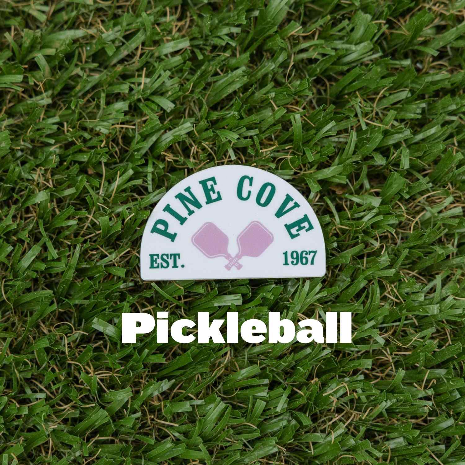 Stickers Assorted - Pine Cove Web Store