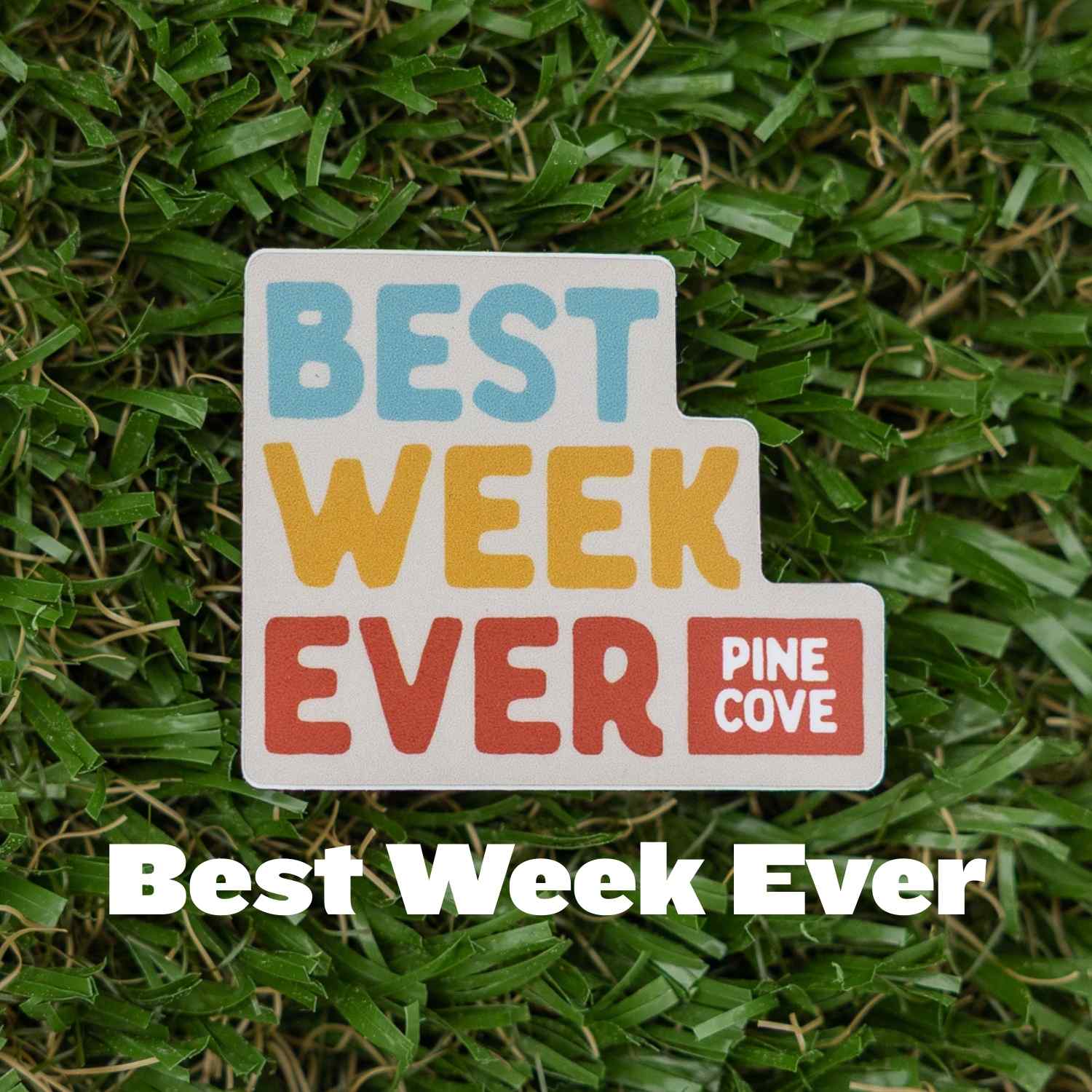 Stickers Assorted - Pine Cove Web Store