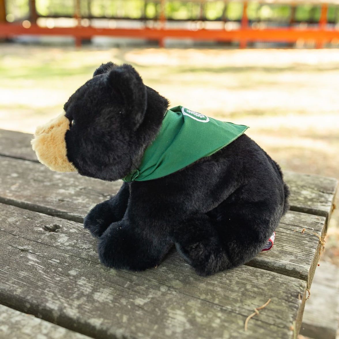 Stuffed Bear - Pine Cove Web Store