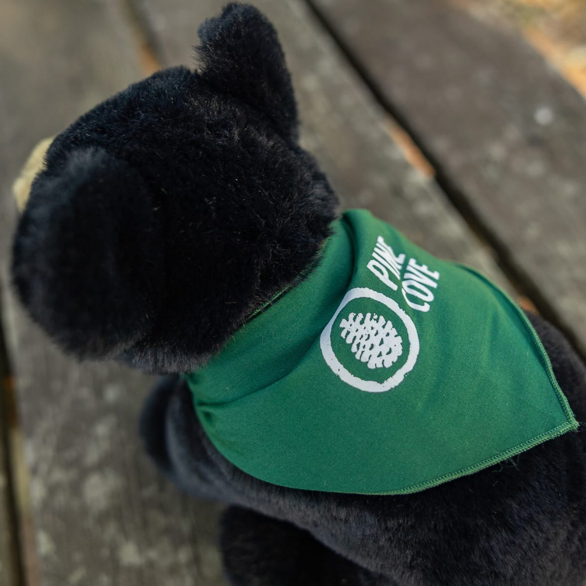 Stuffed Bear - Pine Cove Web Store