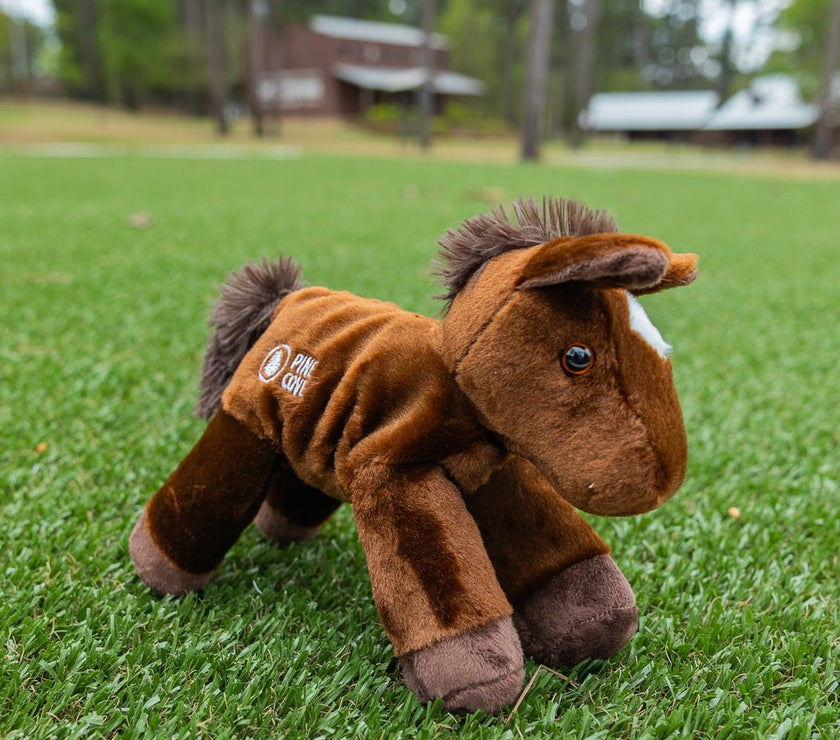 Pillow - Pine Cove Web Store