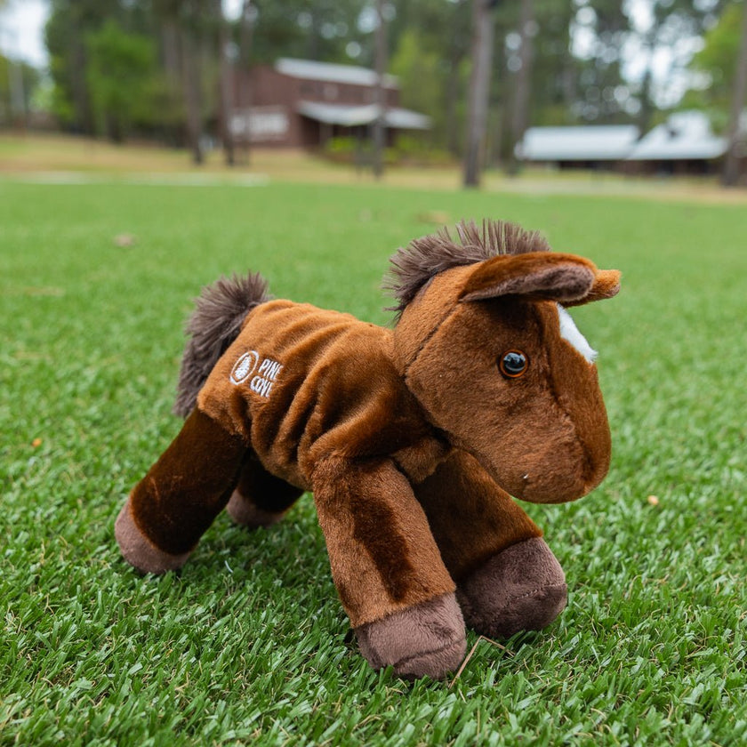 Pillow - Pine Cove Web Store