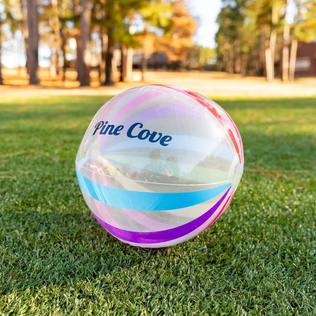 Beach Ball - Pine Cove Web Store