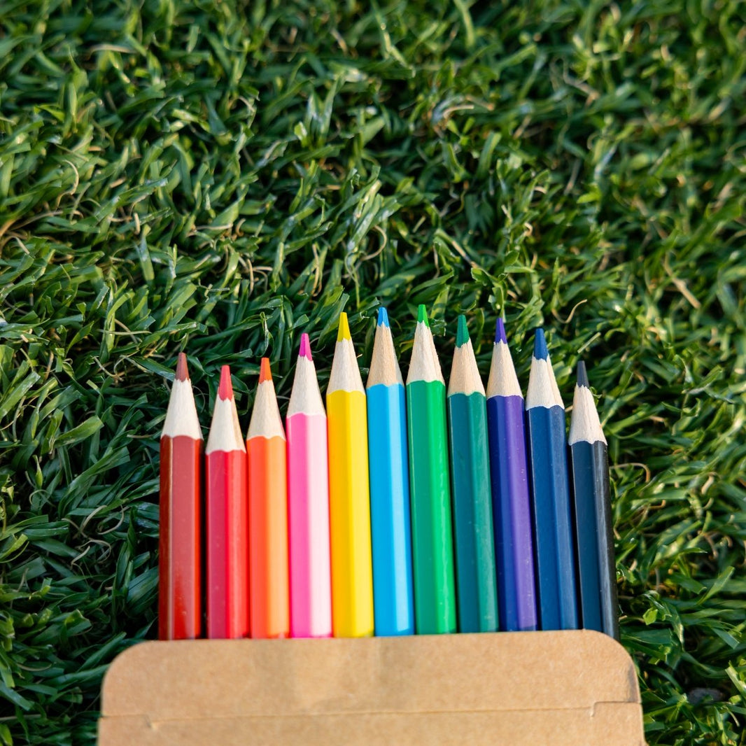 Color Pencils Set - Pine Cove Web Store