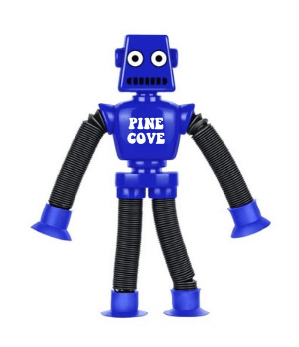 Robot - Pine Cove Web Store